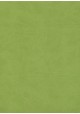 Simili cuir "Buffalo" vert anis (70x100)