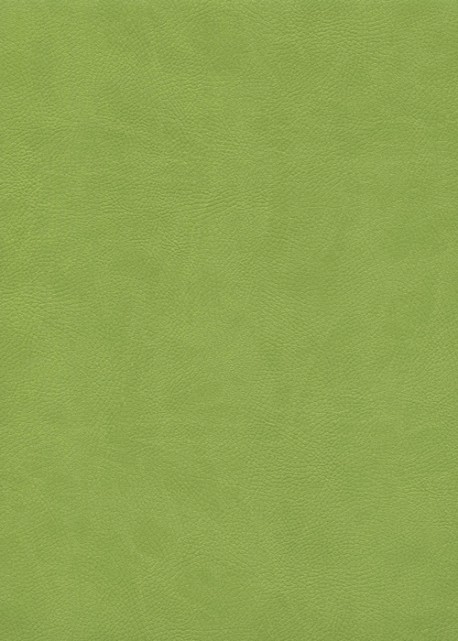 Simili cuir "Buffalo" vert anis (70x100)