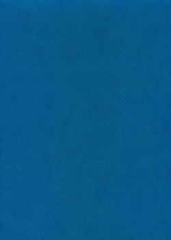 Simili cuir "Buffalo" bleu gentiane (70x100)