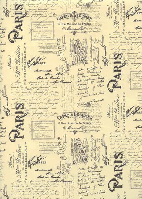 Les écritures de Paris (49,5x68)