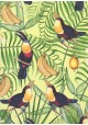 Les toucans fond exotique vert et jaune (70x100)