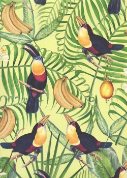 Les toucans fond exotique vert et jaune (70x100)