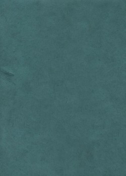 Lokta bleu paon (50x75)