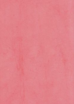 Lokta rose foncé (50x75)