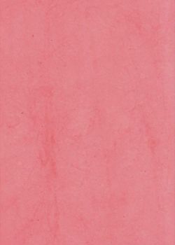 Lokta rose foncé (50x75)