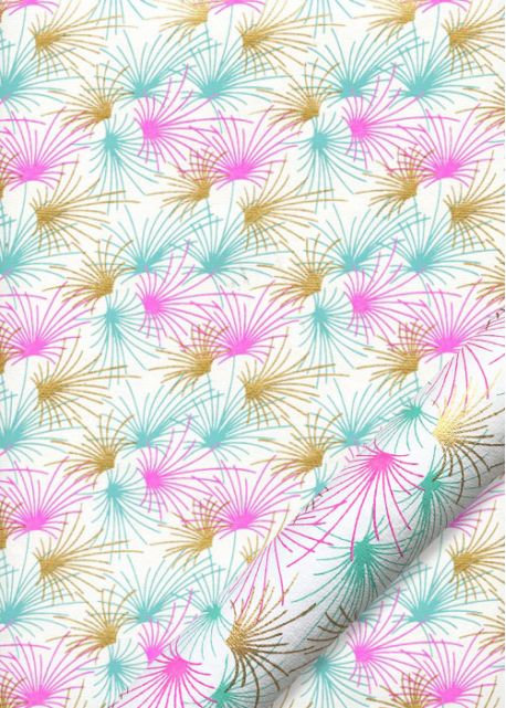 Les pétards colorés fond blanc (50x70)