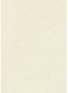 Papier lokta naturel (49x69)