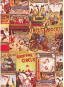 Le monde du cirque réhaussé or (70x100)