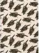 Les chats noirs fond naturel (50x70)
