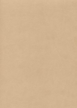 Simili cuir "Buffalo" sable (70x100)