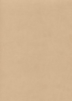 Simili cuir "Buffalo" sable (70x100)