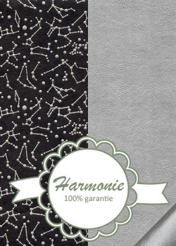 HARMONIE DUO Planétarium argent fond noir