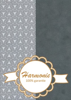 HARMONIE DUO Alienor gris