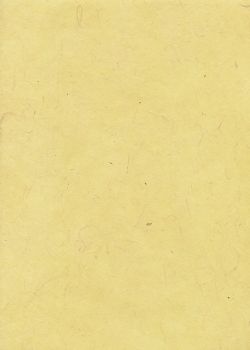 Lokta jaune tendre (50x75)