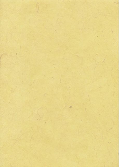 Lokta jaune tendre (50x75)