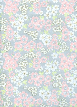 Véritable Yuzen (52x65.5) N°53-5