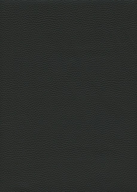 Simili cuir "Buffle grainé" noir réglisse (70x100)