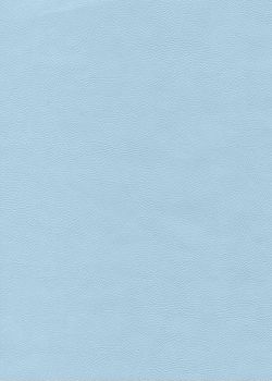 Simili cuir "Buffalo" bleu tendre (70x100)