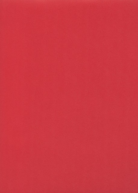 Skip grain fin framboise n°23 (65x100)