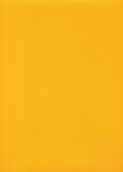 Skip grain fin jaune n°19 (65x100)