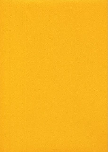 Skip grain fin jaune n°19 (65x100)