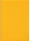 Skip grain fin jaune n°19 (65x100)