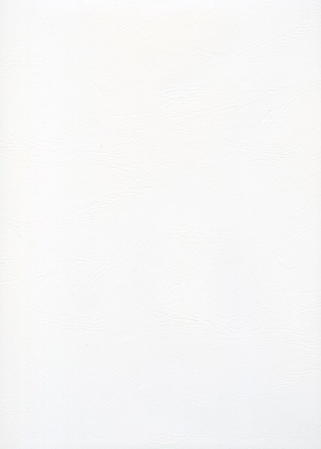 Skip Moleskine blanc n°08 (65x100)