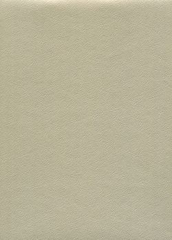 Skip grain or pâle n°20 (65x100)