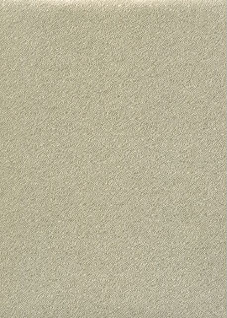 Skip grain or pâle n°20 (65x100)