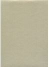 Skip grain fin or pâle n°20 (65x100)