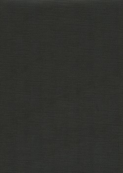 Papier grain toilé noir (70x100)