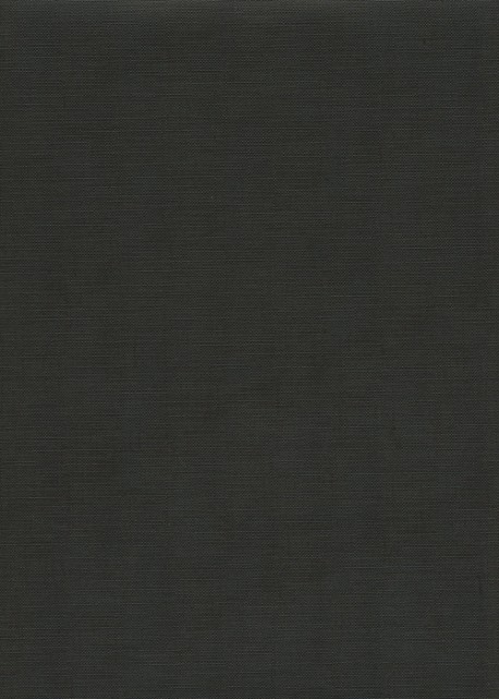 Papier grain toilé noir (70x100)