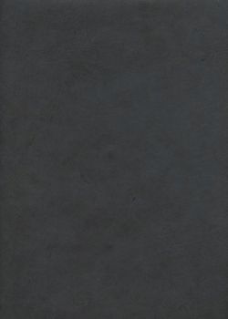 Papier lokta gris anthracite (50x75)