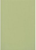 Simili cuir Opal vert tilleul (70x100)