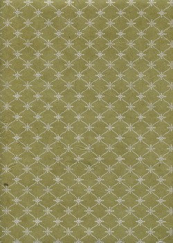 Papier lokta impression pendulaire argent fond tilleul (50x75)