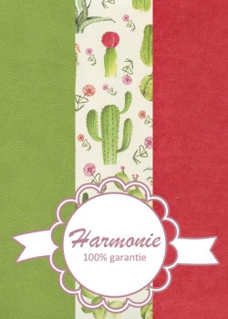 HARMONIE TRIO Pêle-mêle de cactus