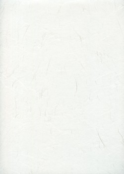 UNRYO NIYODO blanc cassé (49x63,5)
