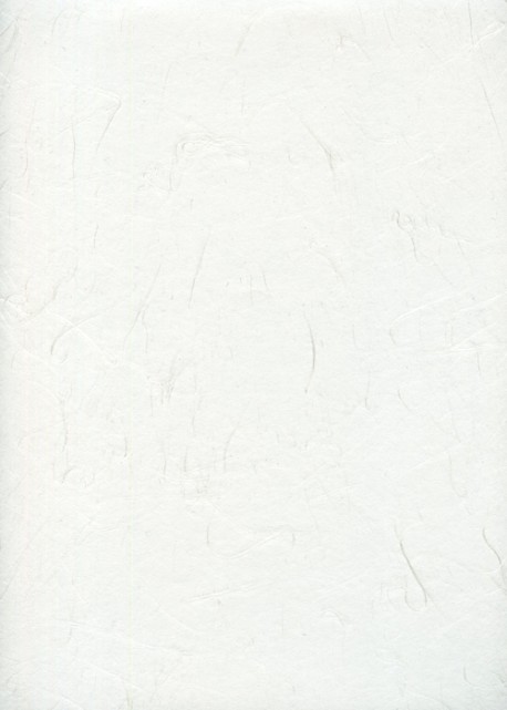 UNRYO NIYODO blanc cassé (49x63,5)