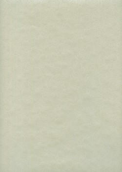 HANA fond gris (54,5x78,5)