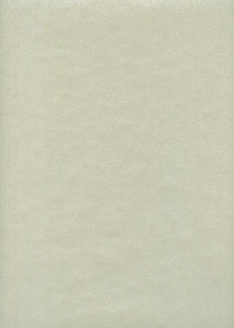 HANA fond gris (54,5x78,5)