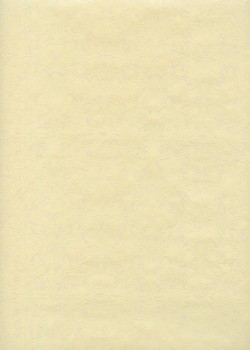 "Ornements" blanc nacré fond vanille (54x78)