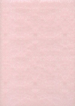 "Ornements" blanc nacré fond rose (54x78)