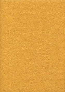 Véritable Momi jaune safran (54x78)