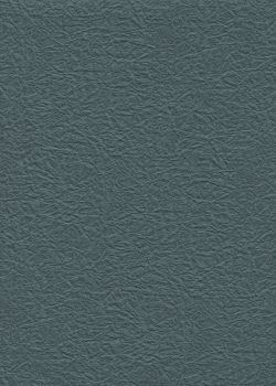 Véritable Momi gris orage (54x78)