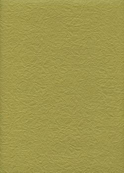 Véritable Momi vert olive (54x78)