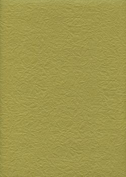 Véritable Momi vert olive (54x78)