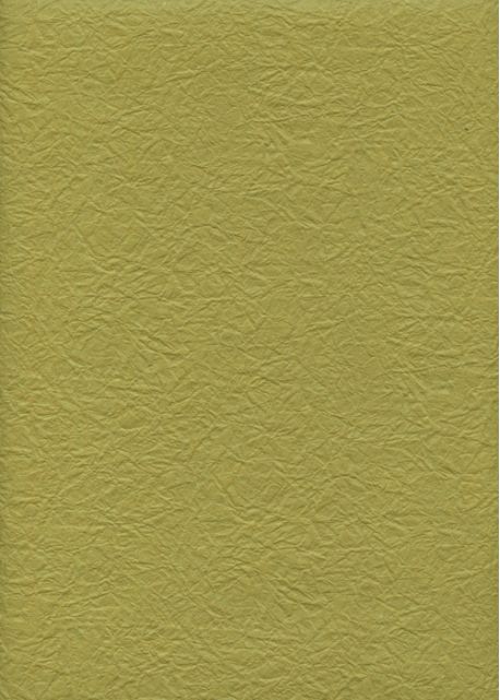 Véritable Momi vert olive (54x78)