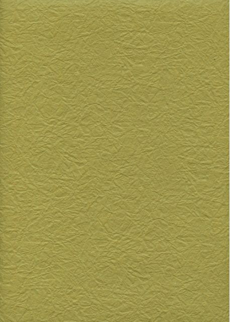 Véritable Momi vert olive (54x78)