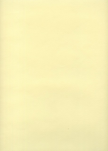 Mi-teintes n°101 citronnelle (50x65)