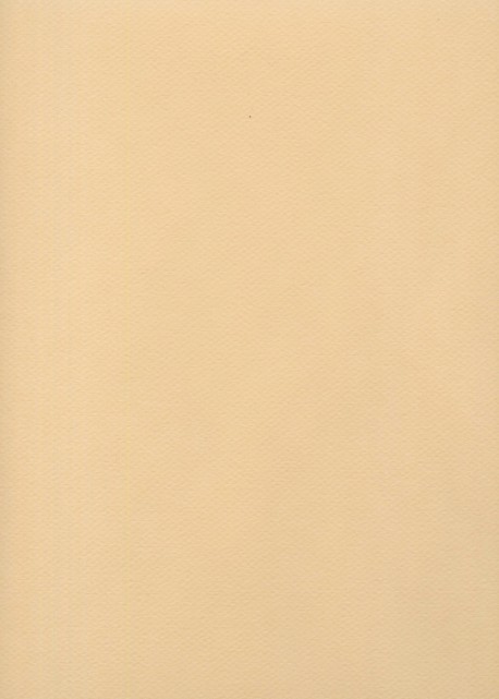 Mi-teintes n°350 rose muraille (50x65)